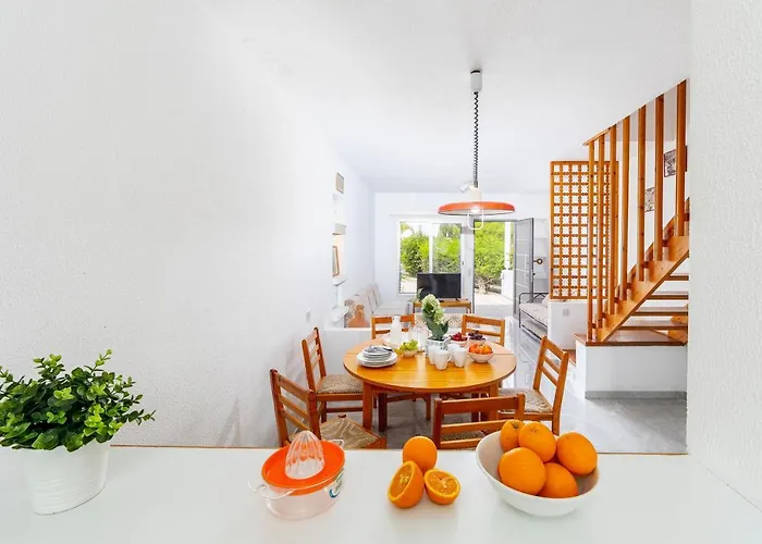 Maistralli 프로타라스